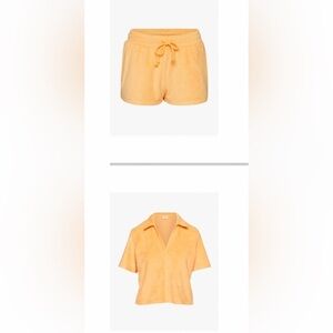 Aritzia Wilfred Free Popsicle Set